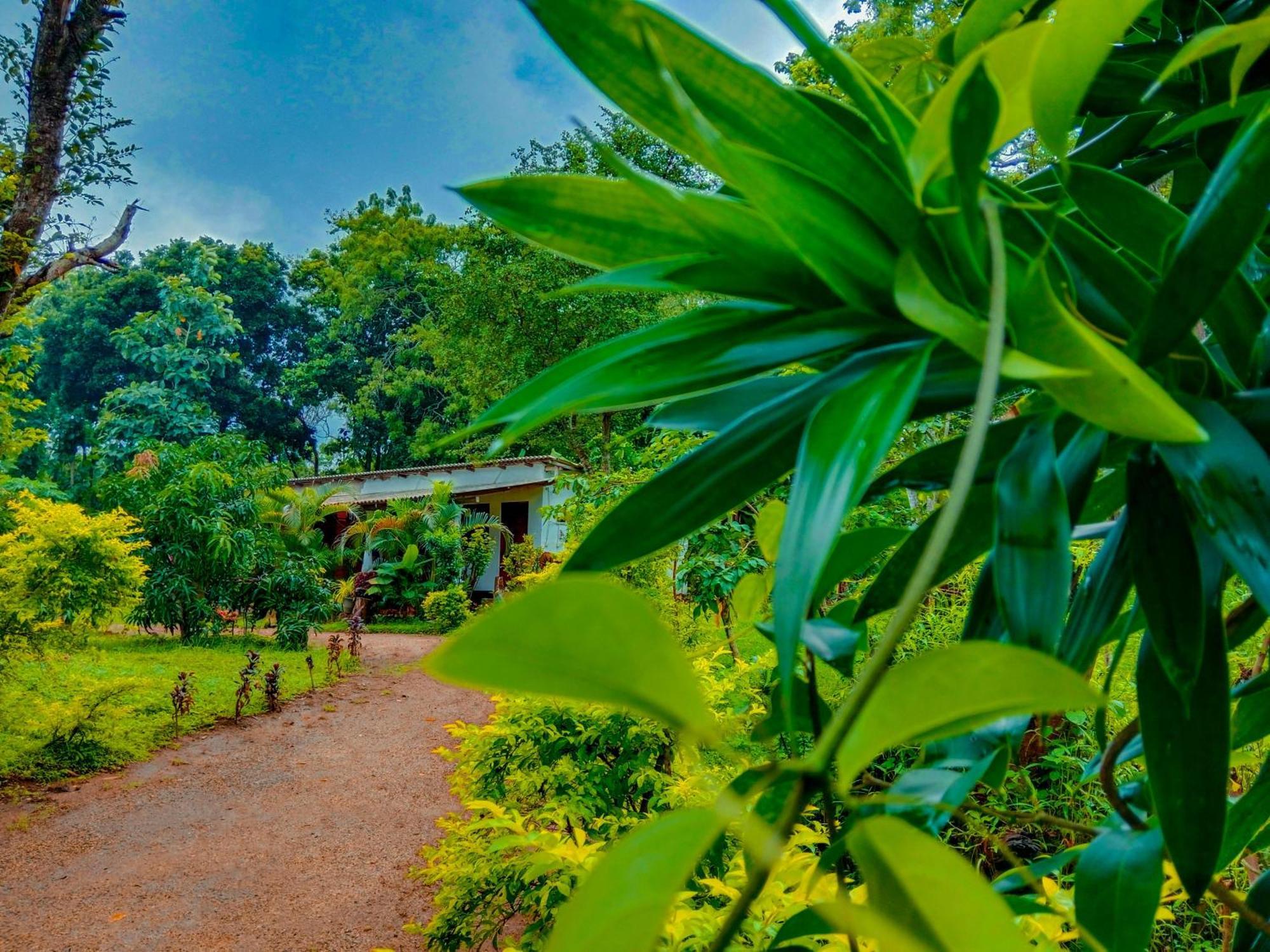 Chanaka Holiday Inn Sigiriya Esterno foto