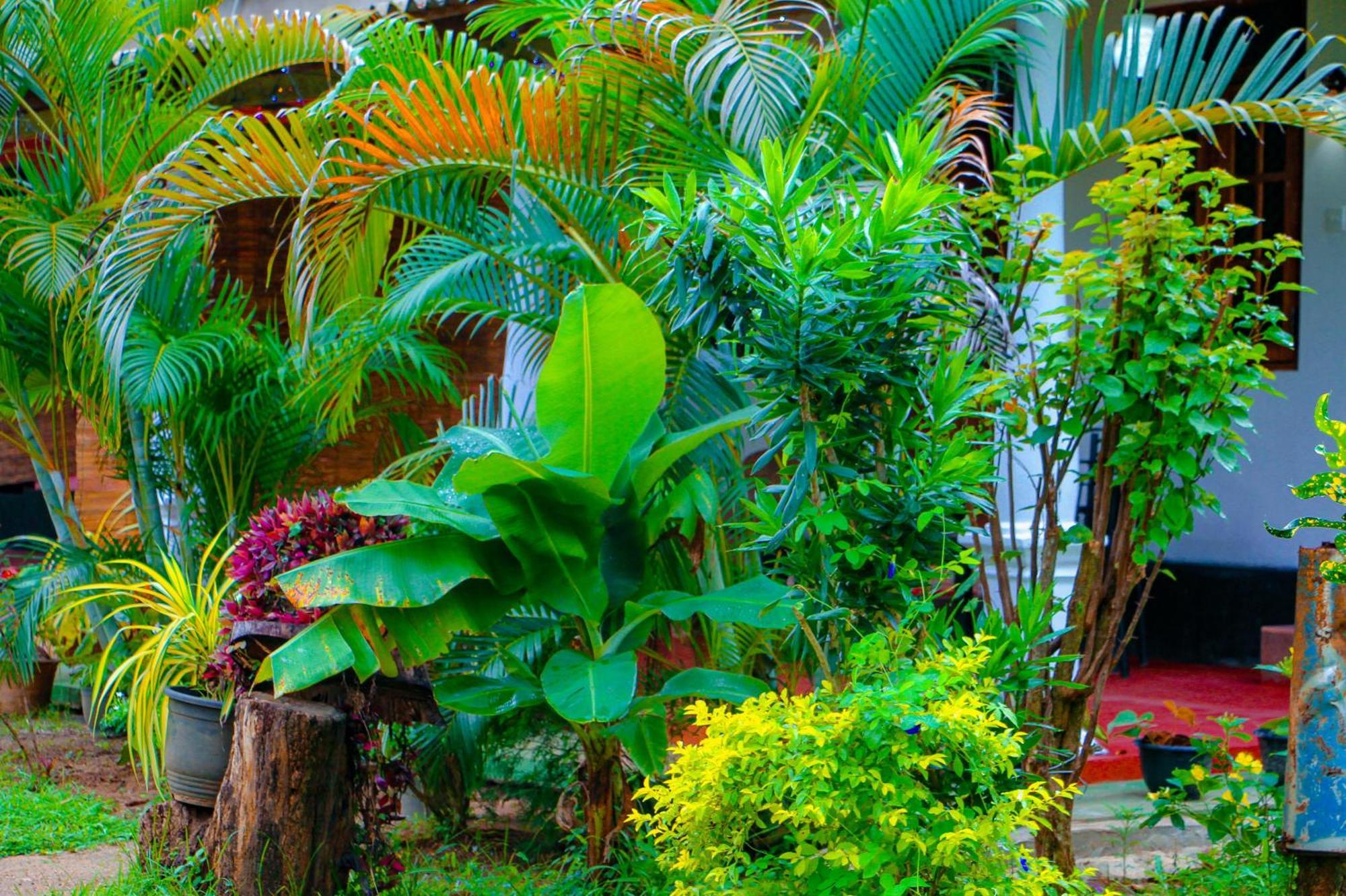 Chanaka Holiday Inn Sigiriya Esterno foto
