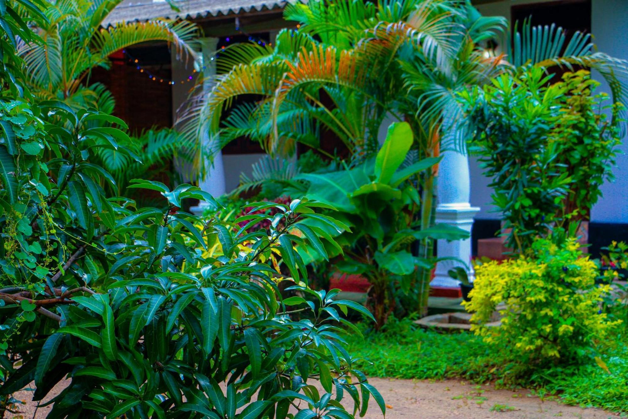 Chanaka Holiday Inn Sigiriya Esterno foto